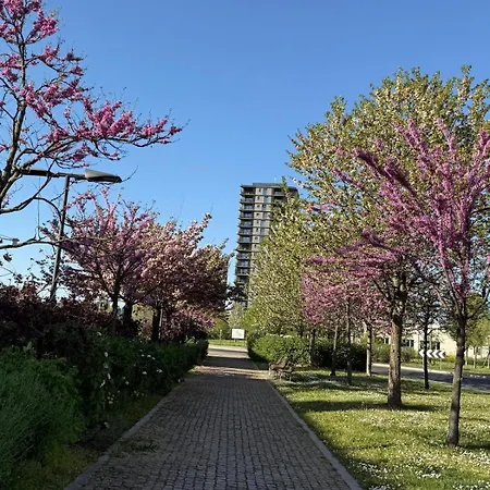 Domus Apartamento